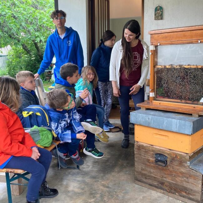 bee farm primary class 1 and 2 (5)