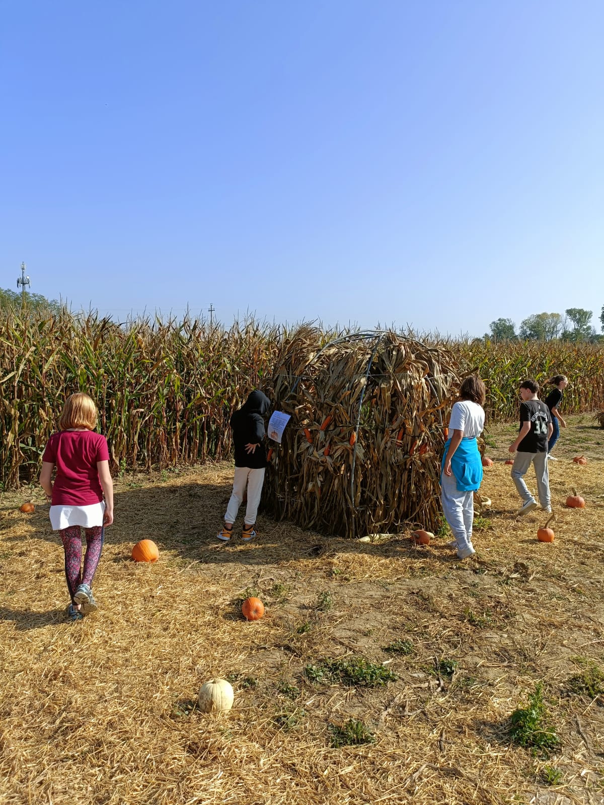 Middle School - Castions di Zoppola Trip class 1 2 3 (18)