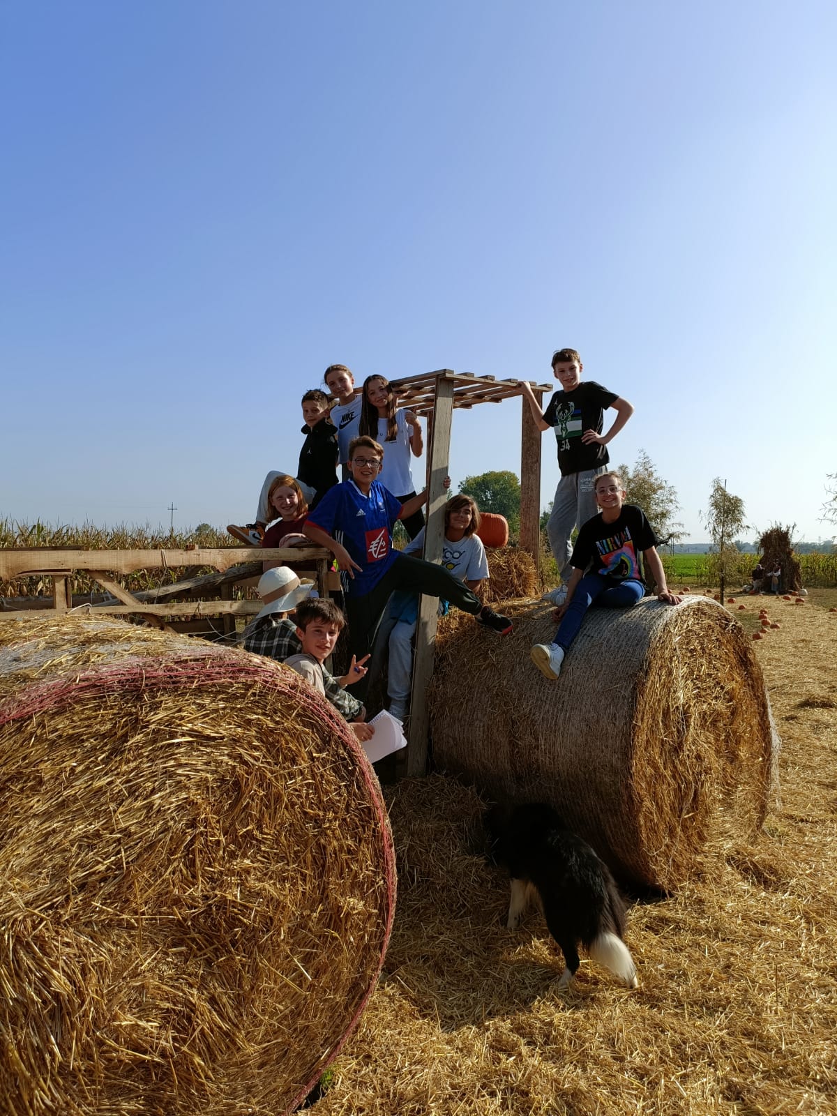 Middle School - Castions di Zoppola Trip class 1 2 3 (20)